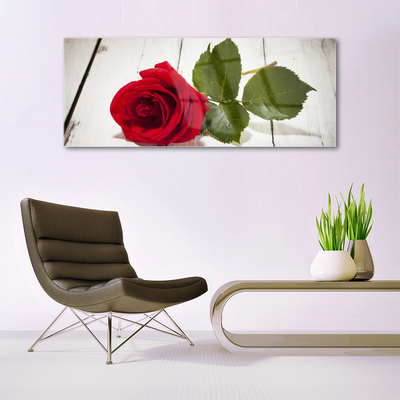 Foto schilderij op glas Rose flower plant natuur