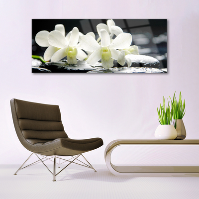 Foto schilderij op glas Stones orchideebloemen