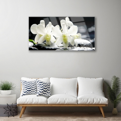 Foto schilderij op glas Stones orchideebloemen