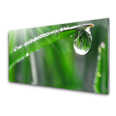 Foto schilderij op glas Dew drop gras van het blad