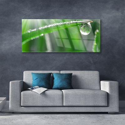 Foto schilderij op glas Dew drop gras van het blad