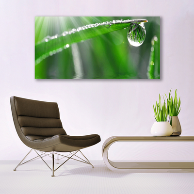 Foto schilderij op glas Dew drop gras van het blad