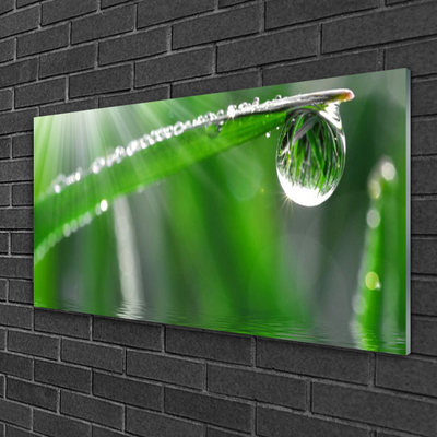 Foto schilderij op glas Dew drop gras van het blad