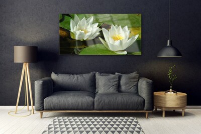 Foto schilderij op glas Bloemen planten nature