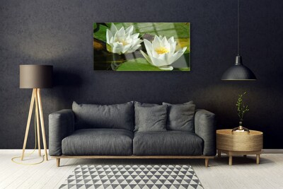 Foto schilderij op glas Bloemen planten nature