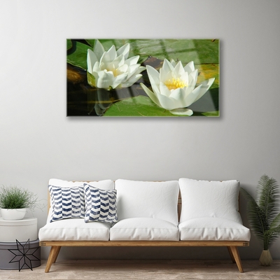 Foto schilderij op glas Bloemen planten nature