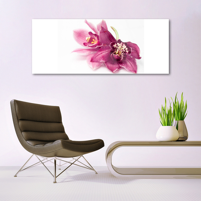 Foto schilderij op glas Bloemen plant nature