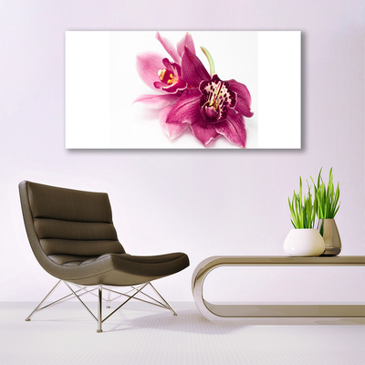 Foto schilderij op glas Bloemen plant nature