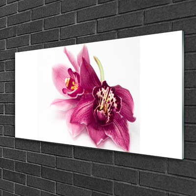 Foto schilderij op glas Bloemen plant nature