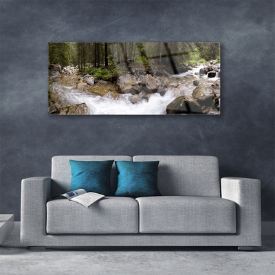 Foto schilderij op glas Forest river waterfalls