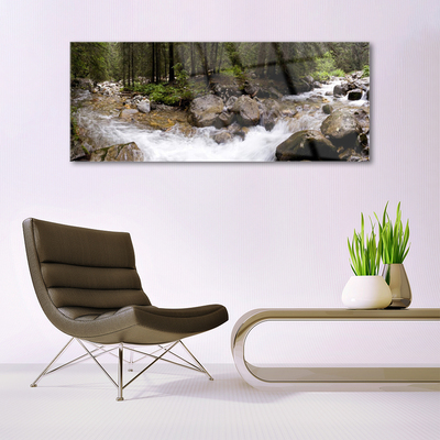 Foto schilderij op glas Forest river waterfalls