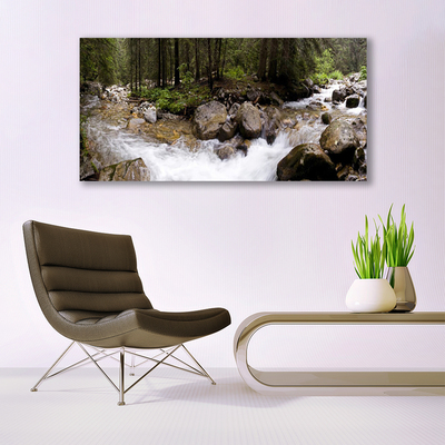 Foto schilderij op glas Forest river waterfalls