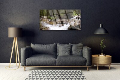 Foto schilderij op glas Forest river waterfalls