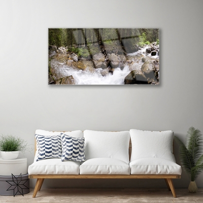 Foto schilderij op glas Forest river waterfalls