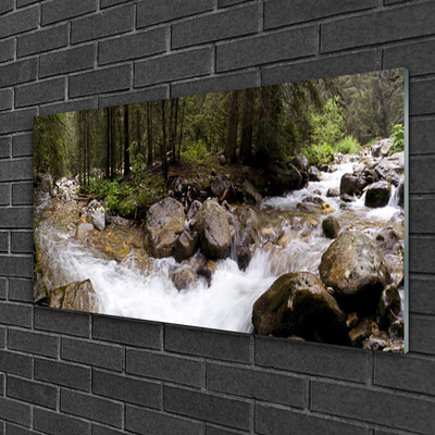 Foto schilderij op glas Forest river waterfalls