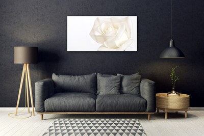 Foto schilderij op glas Rose bloemen