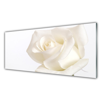 Foto schilderij op glas Rose bloemen