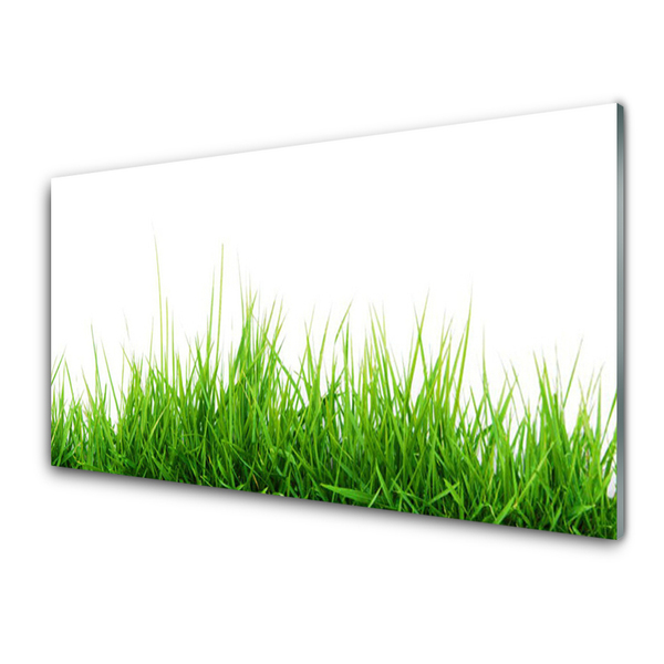 Foto schilderij op glas Grass nature plant