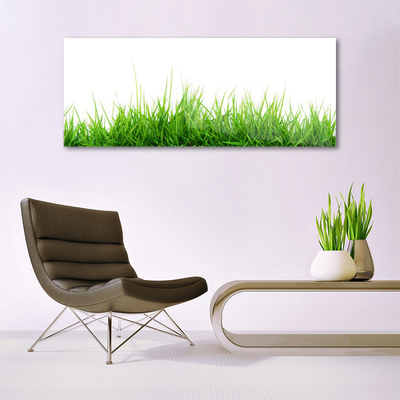 Foto schilderij op glas Grass nature plant