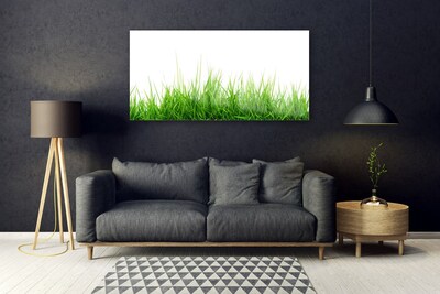 Foto schilderij op glas Grass nature plant