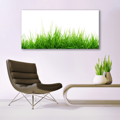 Foto schilderij op glas Grass nature plant