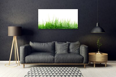 Foto schilderij op glas Grass nature plant