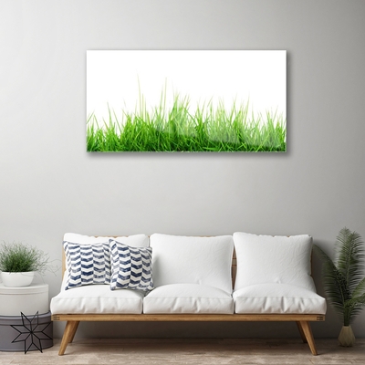 Foto schilderij op glas Grass nature plant