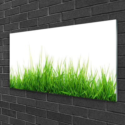 Foto schilderij op glas Grass nature plant