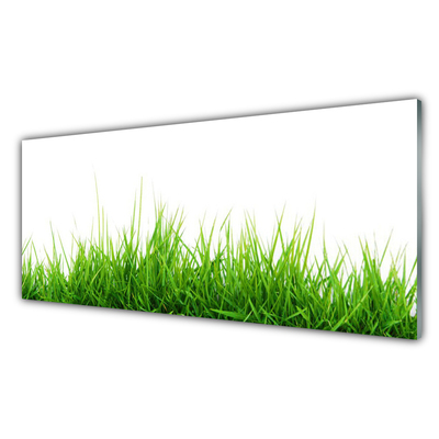 Foto schilderij op glas Grass nature plant