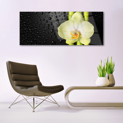 Foto schilderij op glas Bamboo orchid flowers