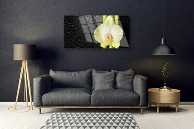 Foto schilderij op glas Bamboo orchid flowers