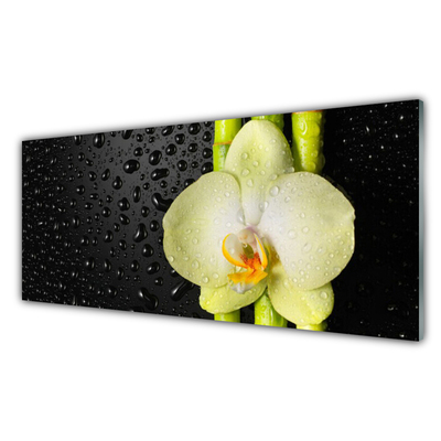 Foto schilderij op glas Bamboo orchid flowers