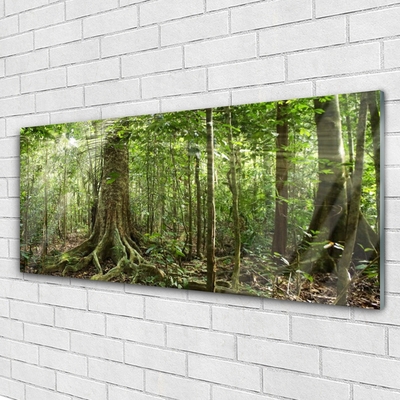 Foto schilderij op glas Natuur jungle bosbomen