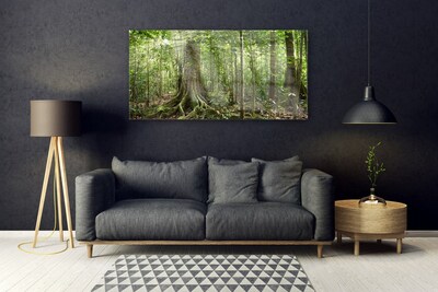 Foto schilderij op glas Natuur jungle bosbomen