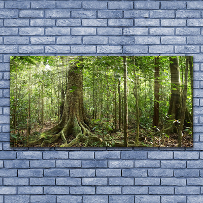 Foto schilderij op glas Natuur jungle bosbomen