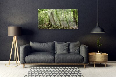 Foto schilderij op glas Natuur jungle bosbomen