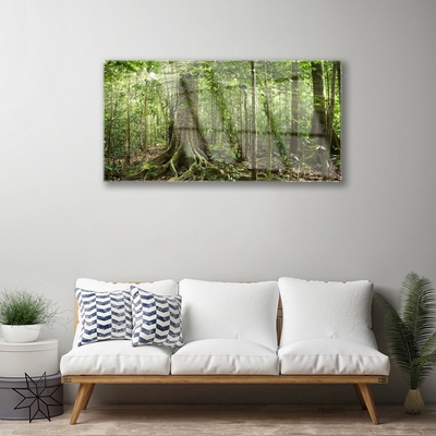 Foto schilderij op glas Natuur jungle bosbomen