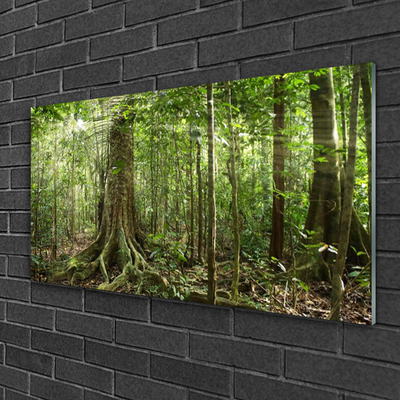 Foto schilderij op glas Natuur jungle bosbomen