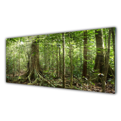 Foto schilderij op glas Natuur jungle bosbomen