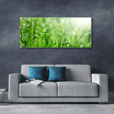 Foto schilderij op glas Nature grass drops