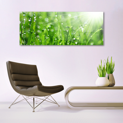 Foto schilderij op glas Nature grass drops