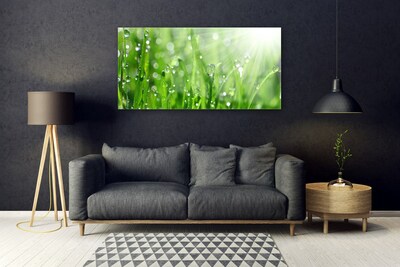 Foto schilderij op glas Nature grass drops