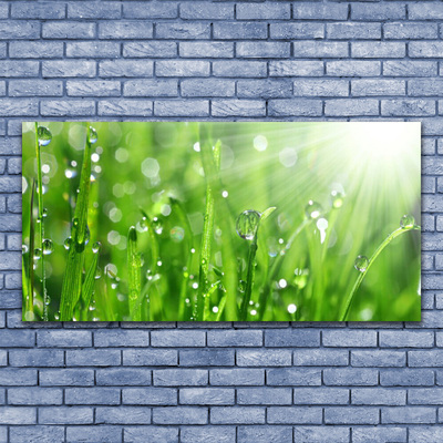 Foto schilderij op glas Nature grass drops