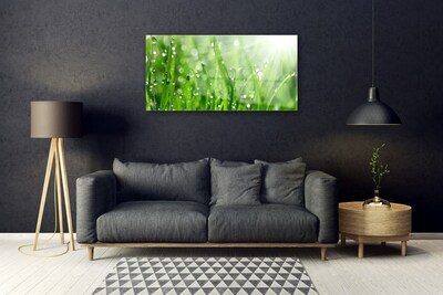 Foto schilderij op glas Nature grass drops