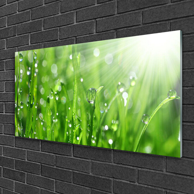 Foto schilderij op glas Nature grass drops