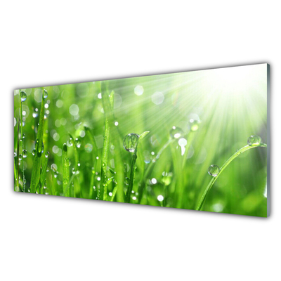 Foto schilderij op glas Nature grass drops
