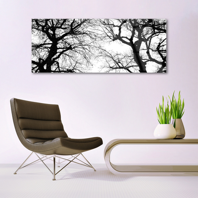 Foto schilderij op glas Bomen natuur black and white