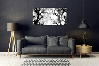 Foto schilderij op glas Bomen natuur black and white