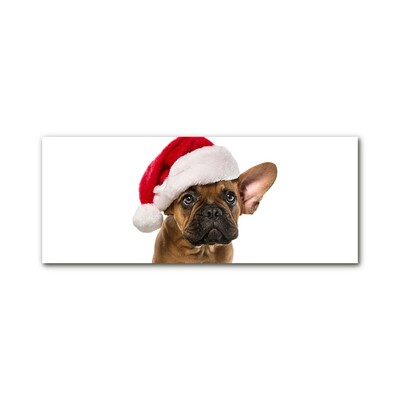 Foto op glas Bulldog Hond van Kerstmis