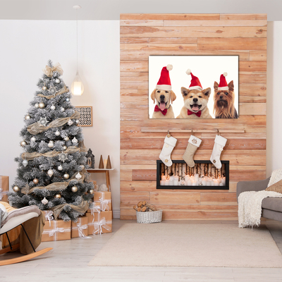 Foto schilderij op glas Honden Kerstman